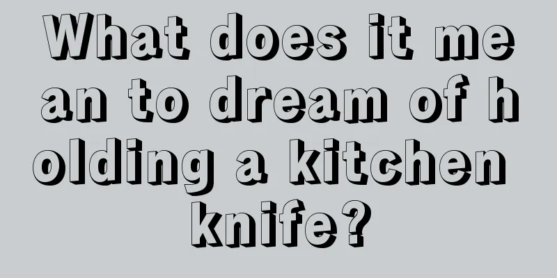 What does it mean to dream of holding a kitchen knife?