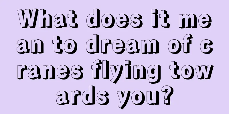 What does it mean to dream of cranes flying towards you?