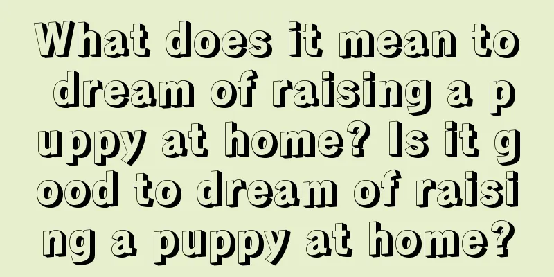 What does it mean to dream of raising a puppy at home? Is it good to dream of raising a puppy at home?