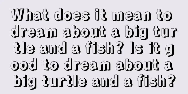 What does it mean to dream about a big turtle and a fish? Is it good to dream about a big turtle and a fish?