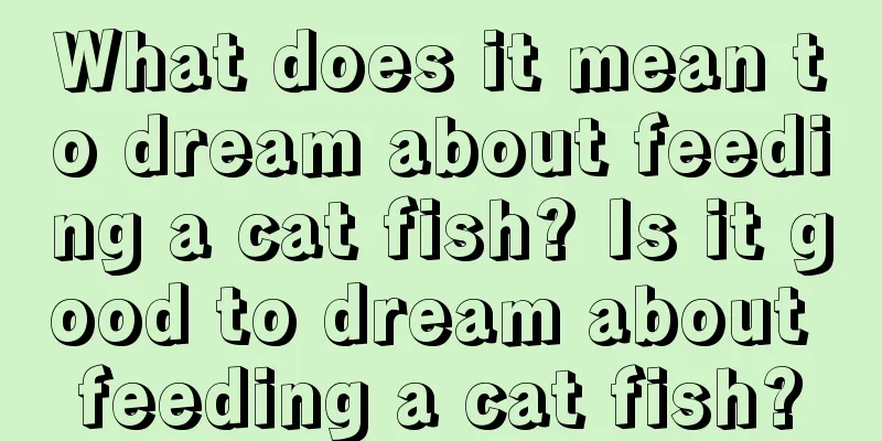 What does it mean to dream about feeding a cat fish? Is it good to dream about feeding a cat fish?