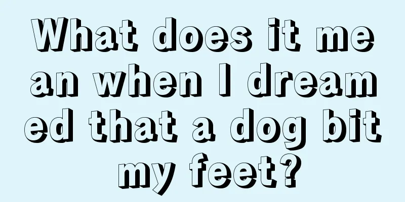 What does it mean when I dreamed that a dog bit my feet?