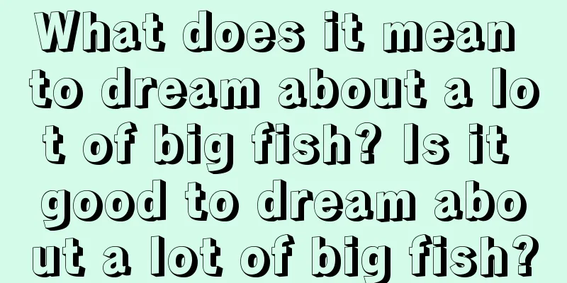 What does it mean to dream about a lot of big fish? Is it good to dream about a lot of big fish?