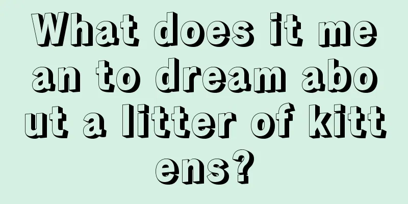 What does it mean to dream about a litter of kittens?