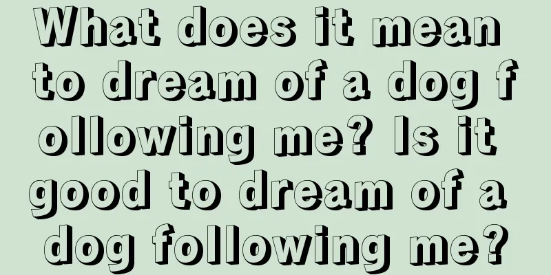 What does it mean to dream of a dog following me? Is it good to dream of a dog following me?