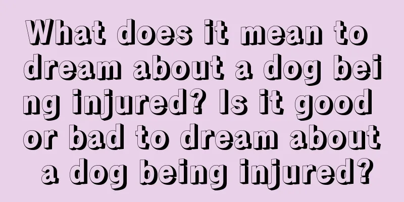 What does it mean to dream about a dog being injured? Is it good or bad to dream about a dog being injured?