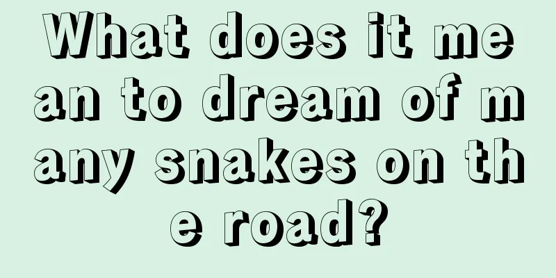 What does it mean to dream of many snakes on the road?