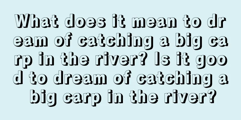 What does it mean to dream of catching a big carp in the river? Is it good to dream of catching a big carp in the river?