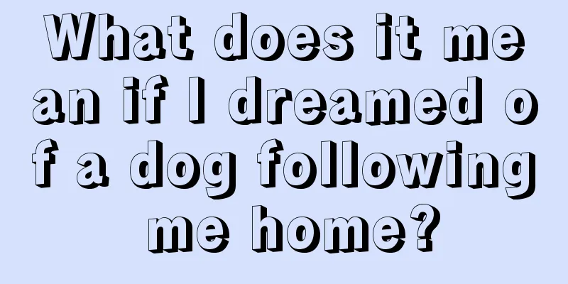 What does it mean if I dreamed of a dog following me home?