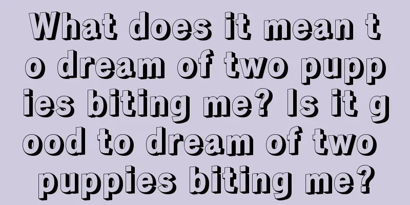 What does it mean to dream of two puppies biting me? Is it good to dream of two puppies biting me?