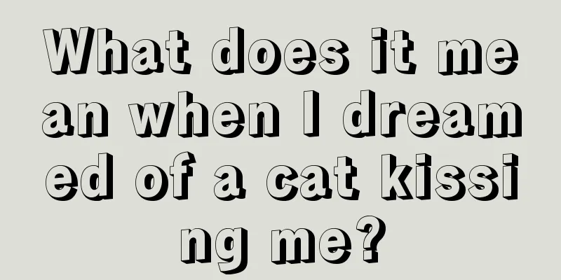 What does it mean when I dreamed of a cat kissing me?