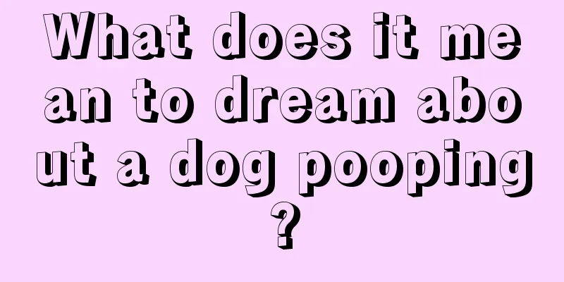 What does it mean to dream about a dog pooping?