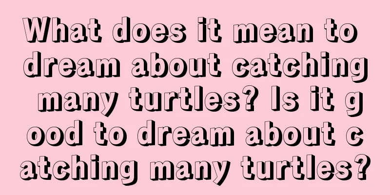 What does it mean to dream about catching many turtles? Is it good to dream about catching many turtles?