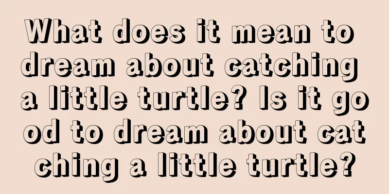 What does it mean to dream about catching a little turtle? Is it good to dream about catching a little turtle?