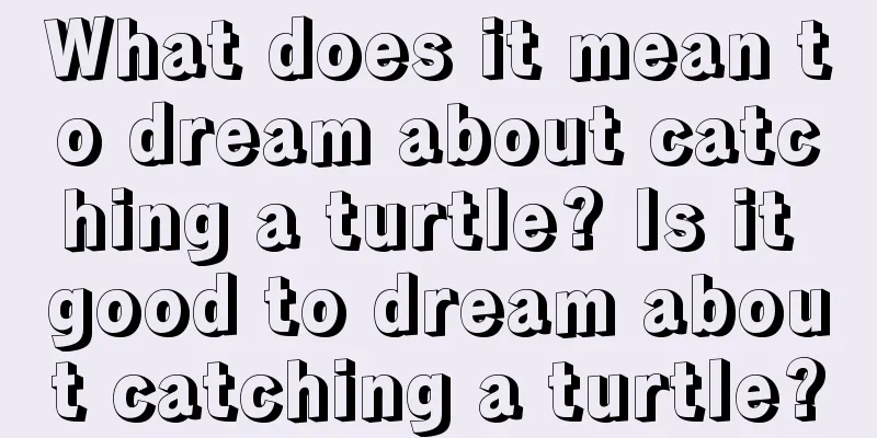 What does it mean to dream about catching a turtle? Is it good to dream about catching a turtle?