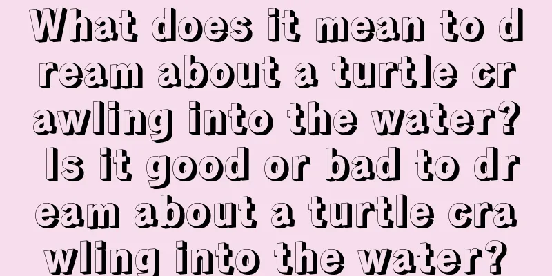 What does it mean to dream about a turtle crawling into the water? Is it good or bad to dream about a turtle crawling into the water?