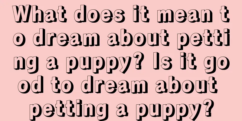 What does it mean to dream about petting a puppy? Is it good to dream about petting a puppy?