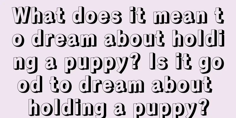 What does it mean to dream about holding a puppy? Is it good to dream about holding a puppy?