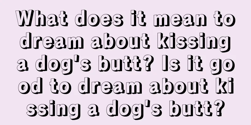 What does it mean to dream about kissing a dog's butt? Is it good to dream about kissing a dog's butt?