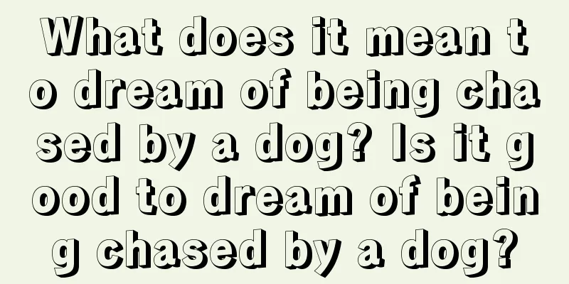 What does it mean to dream of being chased by a dog? Is it good to dream of being chased by a dog?