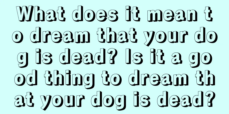 What does it mean to dream that your dog is dead? Is it a good thing to dream that your dog is dead?