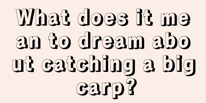 What does it mean to dream about catching a big carp?