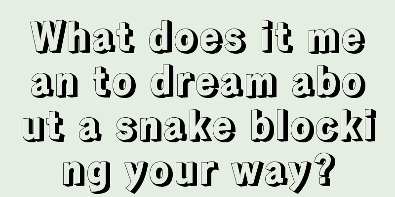 What does it mean to dream about a snake blocking your way?