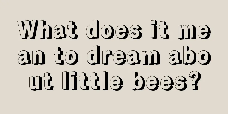 What does it mean to dream about little bees?