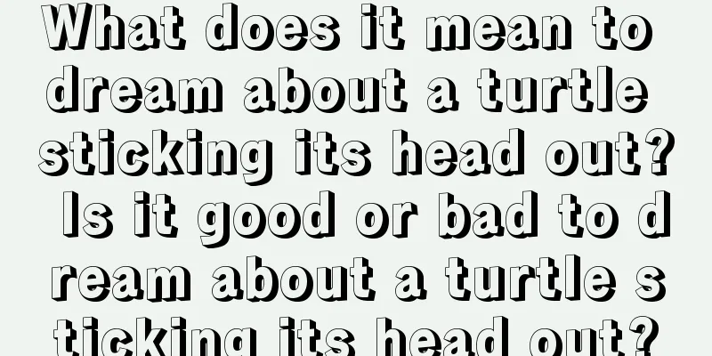 What does it mean to dream about a turtle sticking its head out? Is it good or bad to dream about a turtle sticking its head out?