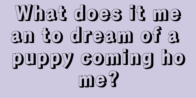 What does it mean to dream of a puppy coming home?