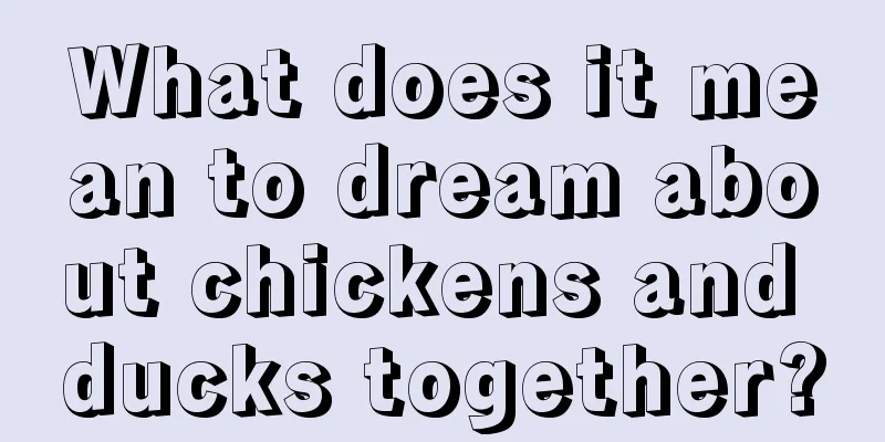 What does it mean to dream about chickens and ducks together?