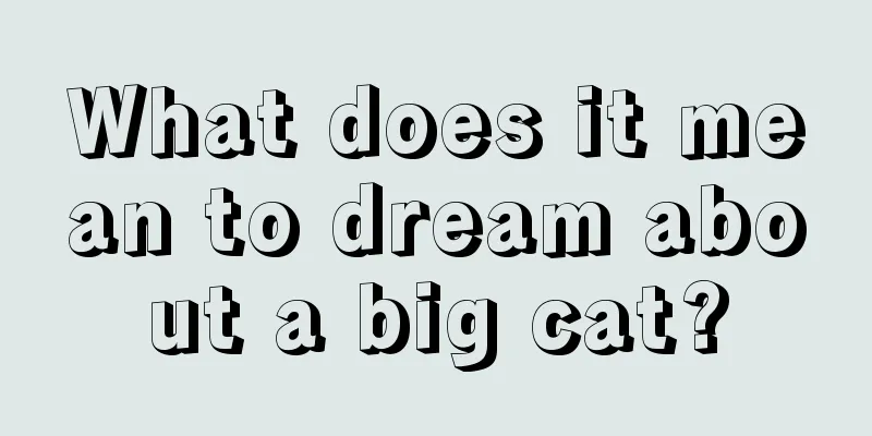 What does it mean to dream about a big cat?