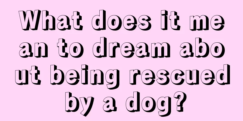 What does it mean to dream about being rescued by a dog?