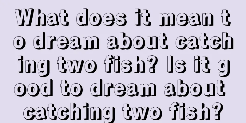 What does it mean to dream about catching two fish? Is it good to dream about catching two fish?