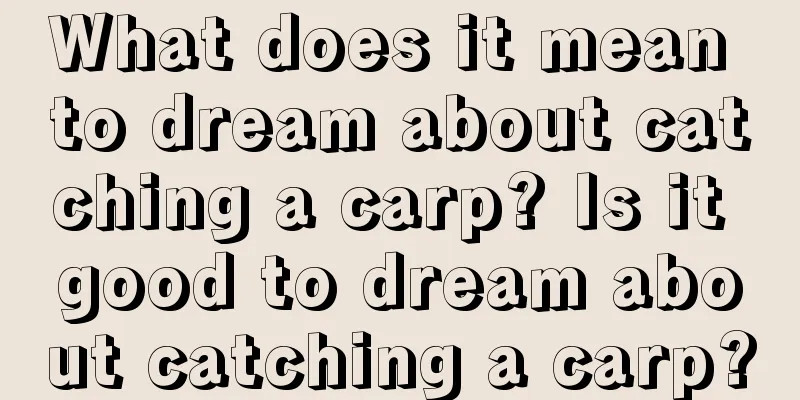 What does it mean to dream about catching a carp? Is it good to dream about catching a carp?