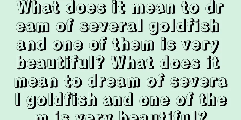 What does it mean to dream of several goldfish and one of them is very beautiful? What does it mean to dream of several goldfish and one of them is very beautiful?