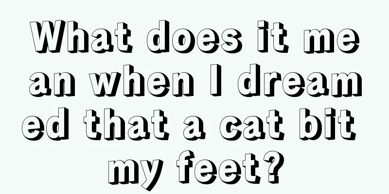 What does it mean when I dreamed that a cat bit my feet?