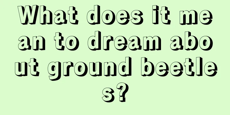 What does it mean to dream about ground beetles?