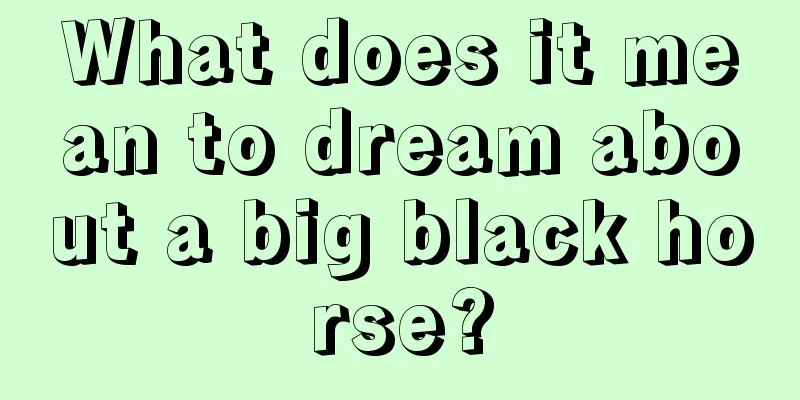 What does it mean to dream about a big black horse?