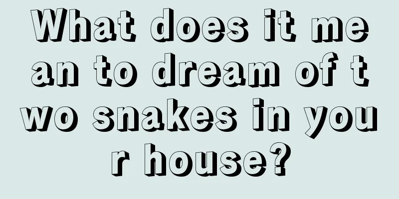 What does it mean to dream of two snakes in your house?