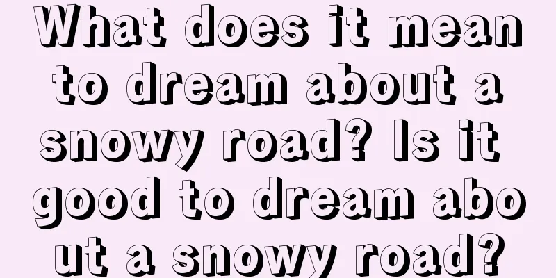 What does it mean to dream about a snowy road? Is it good to dream about a snowy road?