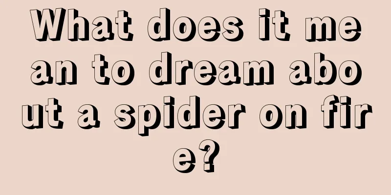 What does it mean to dream about a spider on fire?