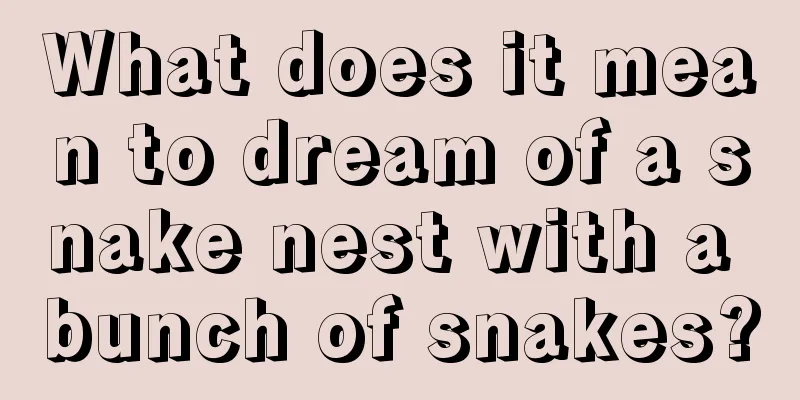 What does it mean to dream of a snake nest with a bunch of snakes?