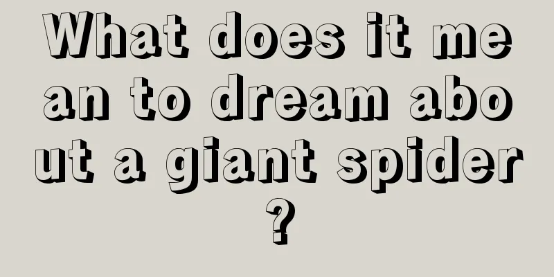 What does it mean to dream about a giant spider?