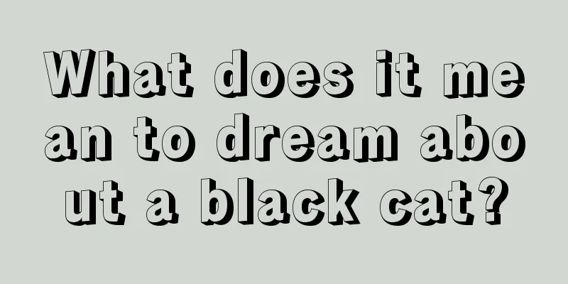 What does it mean to dream about a black cat?