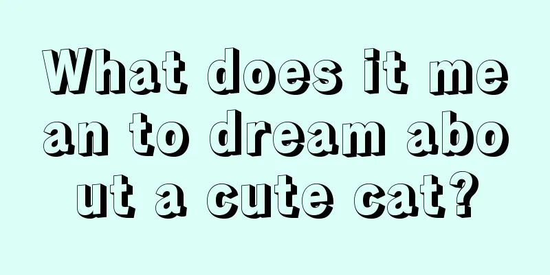 What does it mean to dream about a cute cat?