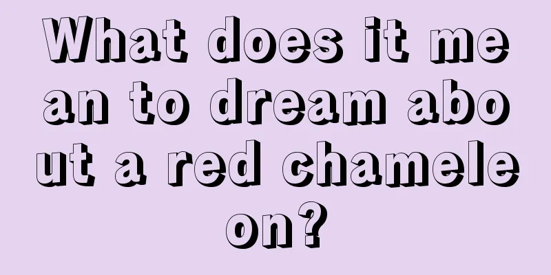 What does it mean to dream about a red chameleon?