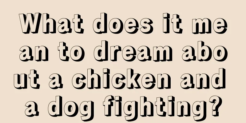 What does it mean to dream about a chicken and a dog fighting?