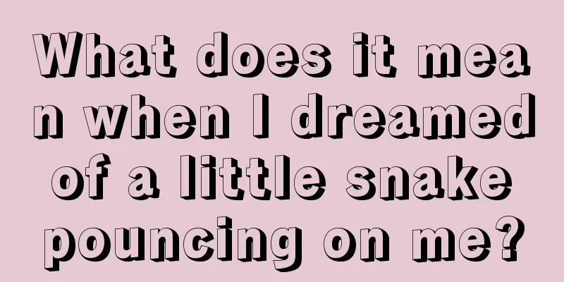 What does it mean when I dreamed of a little snake pouncing on me?