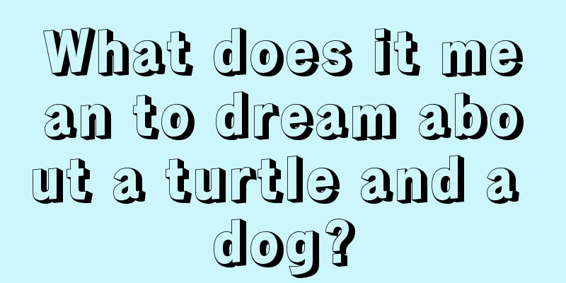 What does it mean to dream about a turtle and a dog?